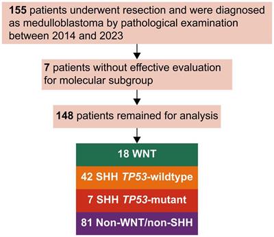 Pediatric WNT medulloblastoma predisposition in intraoperative blood loss: a retrospective observational cohort study